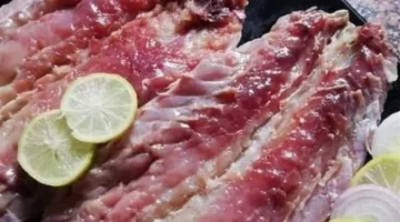 طرق اختيار السمك البوري وتجفيفه للحصول على فسيخ بجودة الزبدة في المنزل